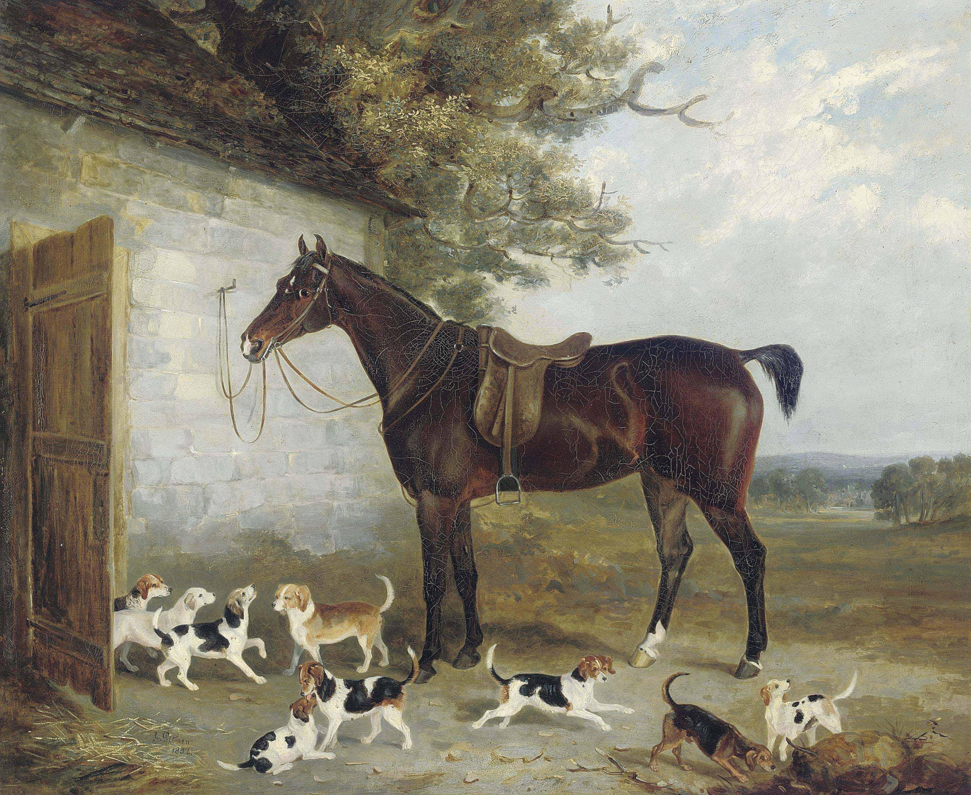 John Pitman - The new pack