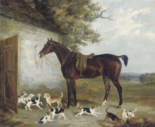 John Pitman - The new pack