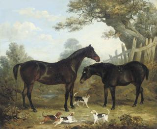 John Pitman - Two Chestnut Hunters, With Puppies Playing In The Foreground