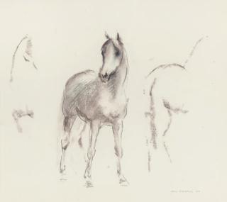 John Rattenbury Skeaping - A study of an Arab foal