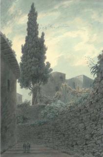 John Robert Cozens - Cypress In The Garden of The Franciscans At Salerno, Italy
