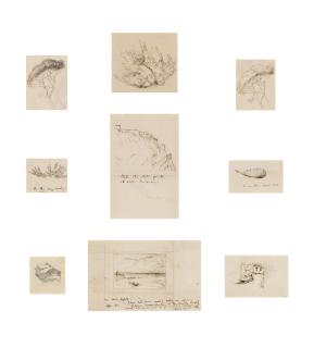 John Ruskin, H.R.W.S. - Nine studies for \'The Elements of Drawing\'