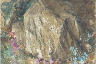 John Ruskin, H.R.W.S. - Oxalis and heather