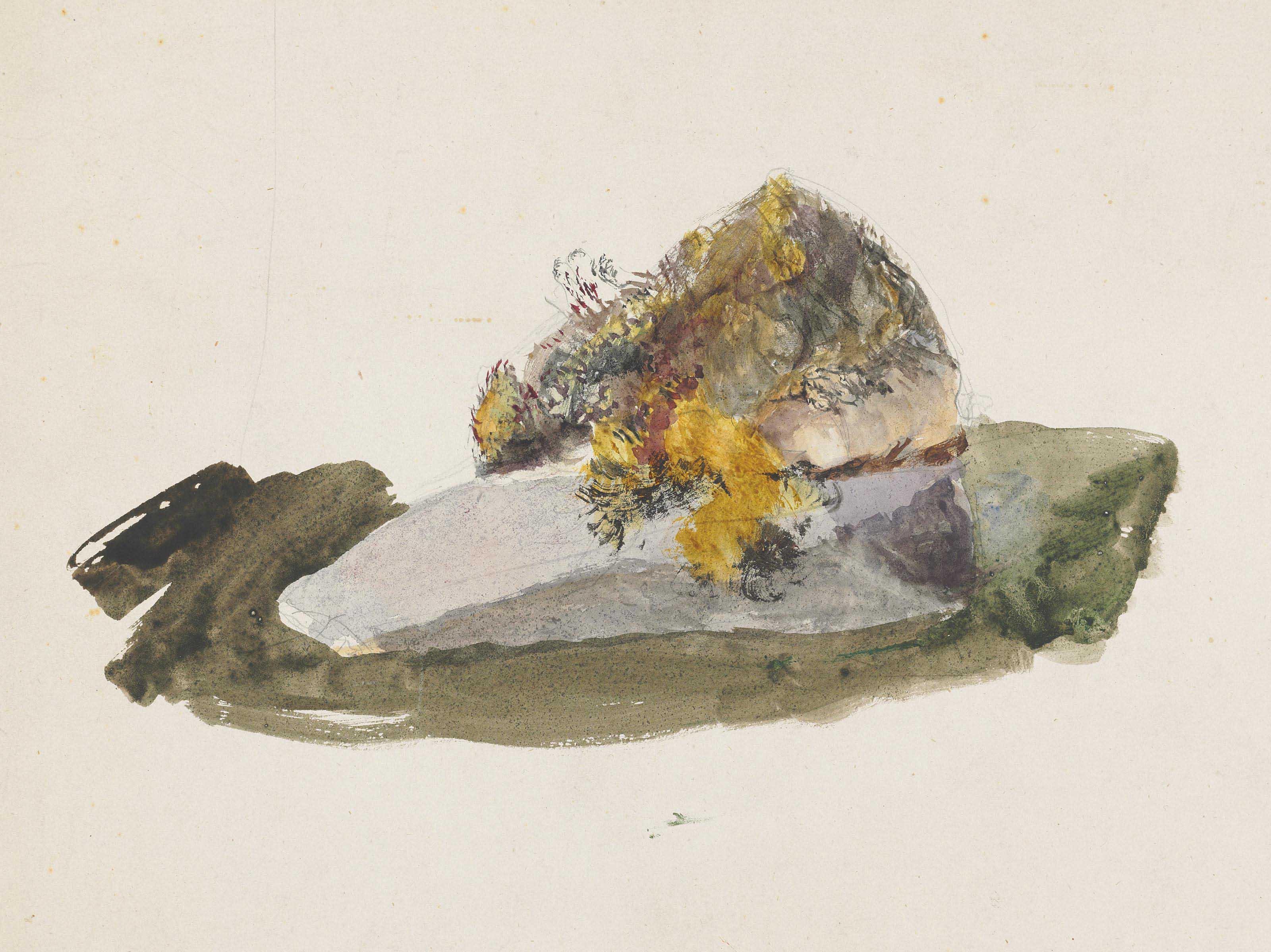 John Ruskin, H.R.W.S. - Study from nature: A mossy rock with plants