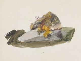 John Ruskin, H.R.W.S. - Study from nature: A mossy rock with plants