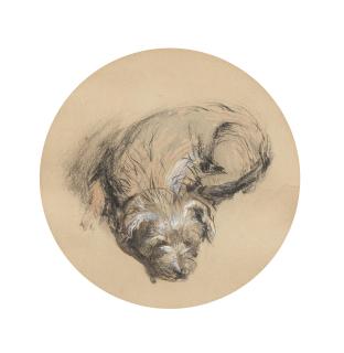 John Ruskin - Study of a terrier image size in circular mount 14.5cm (5 3/4in), full sheet 23 x 19cm (9 x 7 1/2in).