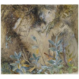 John Ruskin - Study Of Plants, Mosses And Ferns