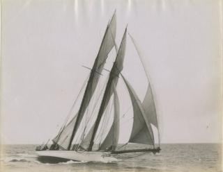 John S. Johnston - Shamrock I at NYYC, 1899; Jessica (and Loyal); Clara; Minerva; and Mariquita