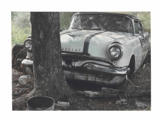 John Salt - Pontiac with Tree Trunk