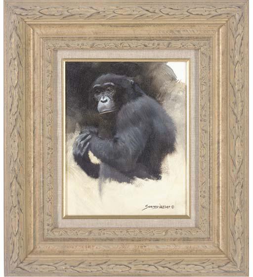 John Seerey-Lester - A Chimpanzee