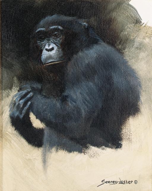 John Seerey-Lester - Bonobo