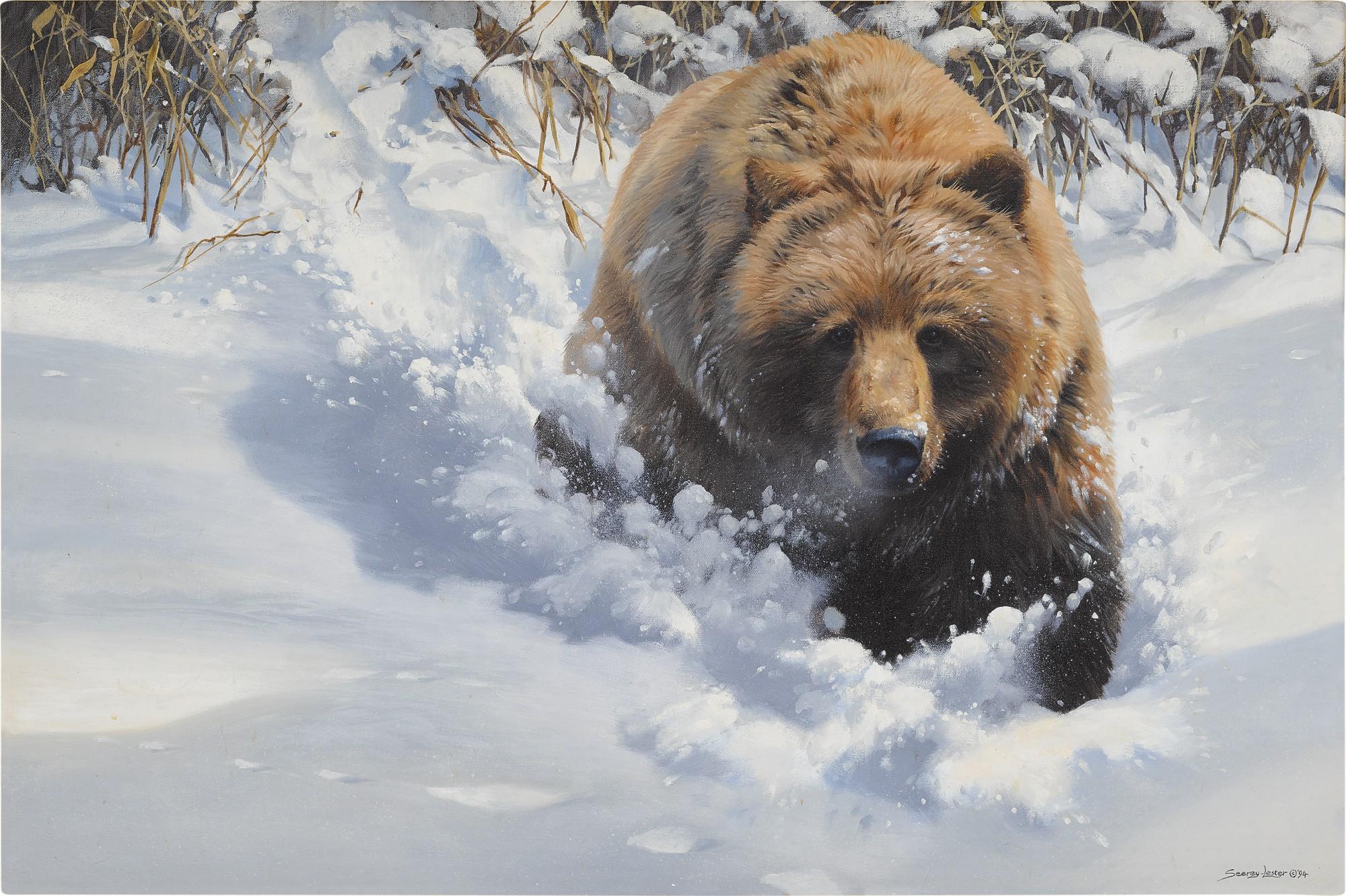 John Seerey-Lester - Snow Bounding
