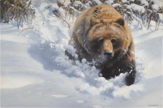 John Seerey-Lester - Snow Bounding
