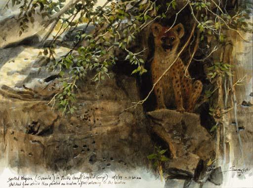 John Seerey-Lester - Spotted Hyena