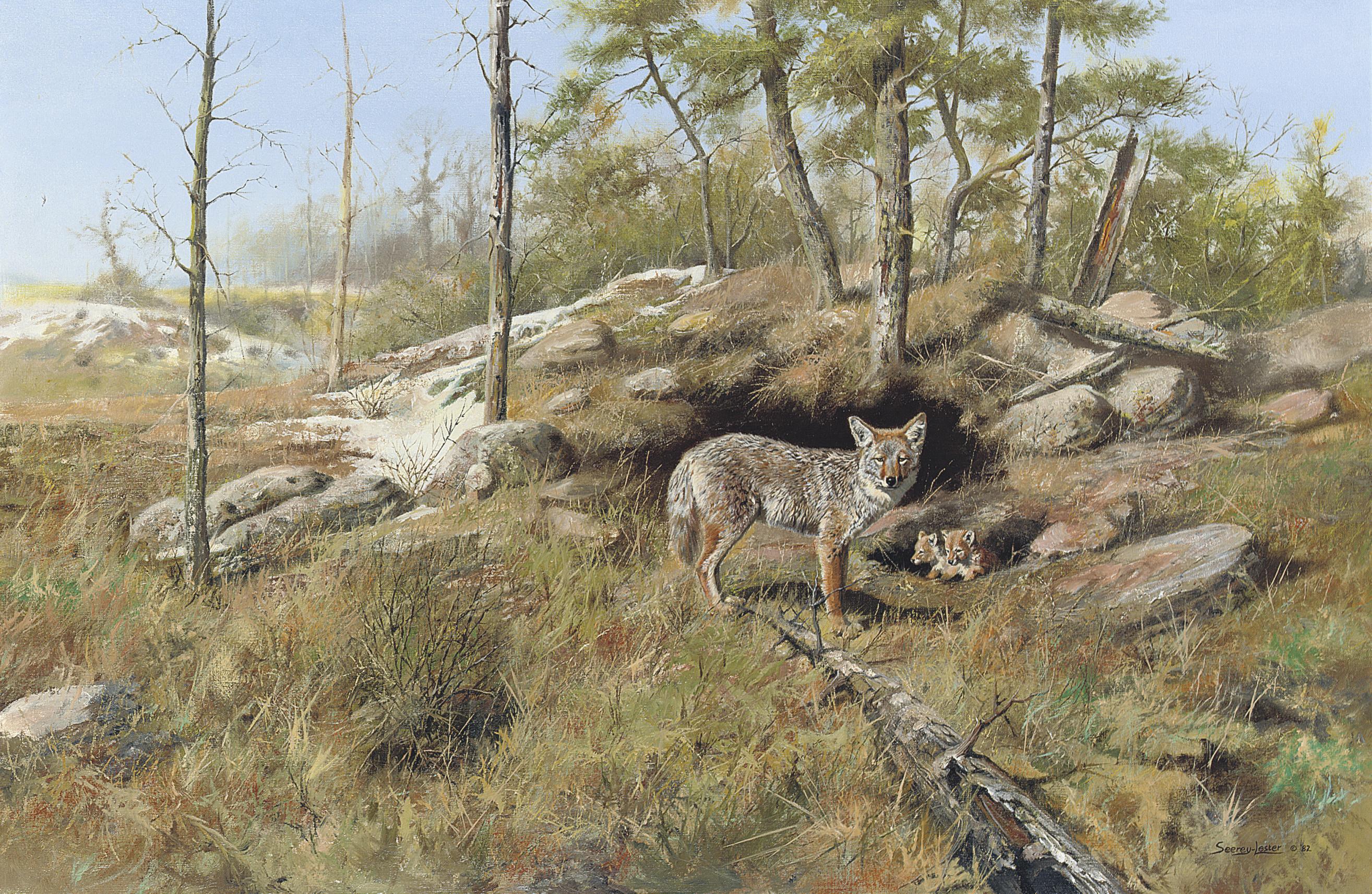 John Seerey-Lester - Wolf