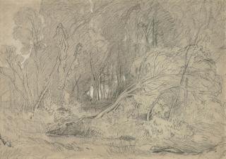 John Sell Cotman - A clearing in a wood