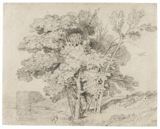 John Sell Cotman - Landscape With Trees And A Lake