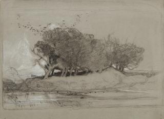 John Sell Cotman - Postwick Grove, Norwich