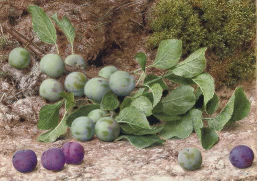 John Sherrin, R.I. - A bough of plums on a mossy bank