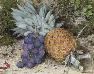 John Sherrin, R.I. - Still life of a pineapple and grapes on a mossy bank