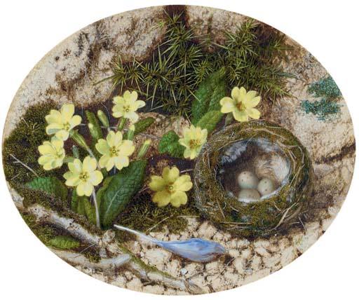 John Sherrin, R.W.S. - Primroses, A Crocus And A Bird\'S Nest, On A Mossy Bank