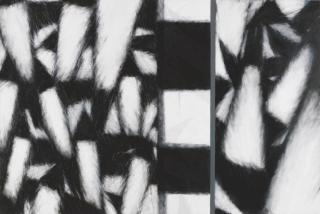 John Shinnors - Birds Over Loop