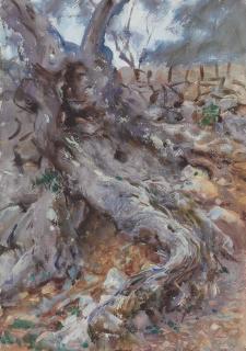 John Singer Sargent - Olive Trunk