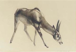 John Skeaping, R.A. - Reedbuck