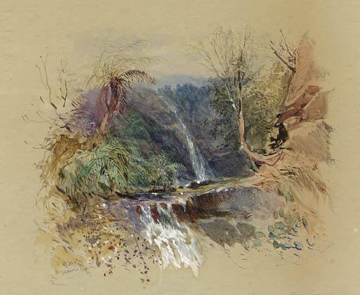 John Skinner Prout - An Australian Gulley