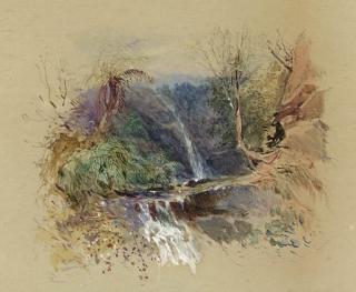 John Skinner Prout - An Australian Gulley