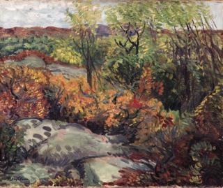 John Sloan - Autumn Rocks and Leaves