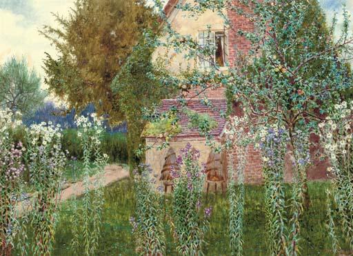 John Sowerby - Michelmas Daisies