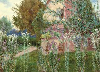 John Sowerby - Michelmas Daisies