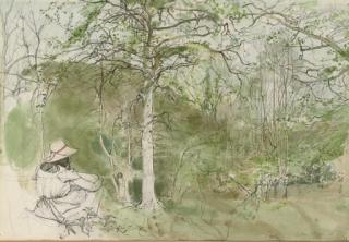 John Stanton Ward - The woodland explorers