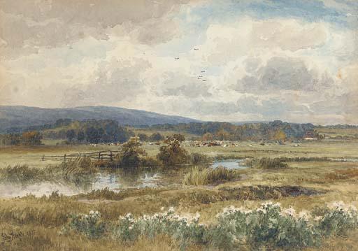 John Steeple - Cows grazing in the water meadows