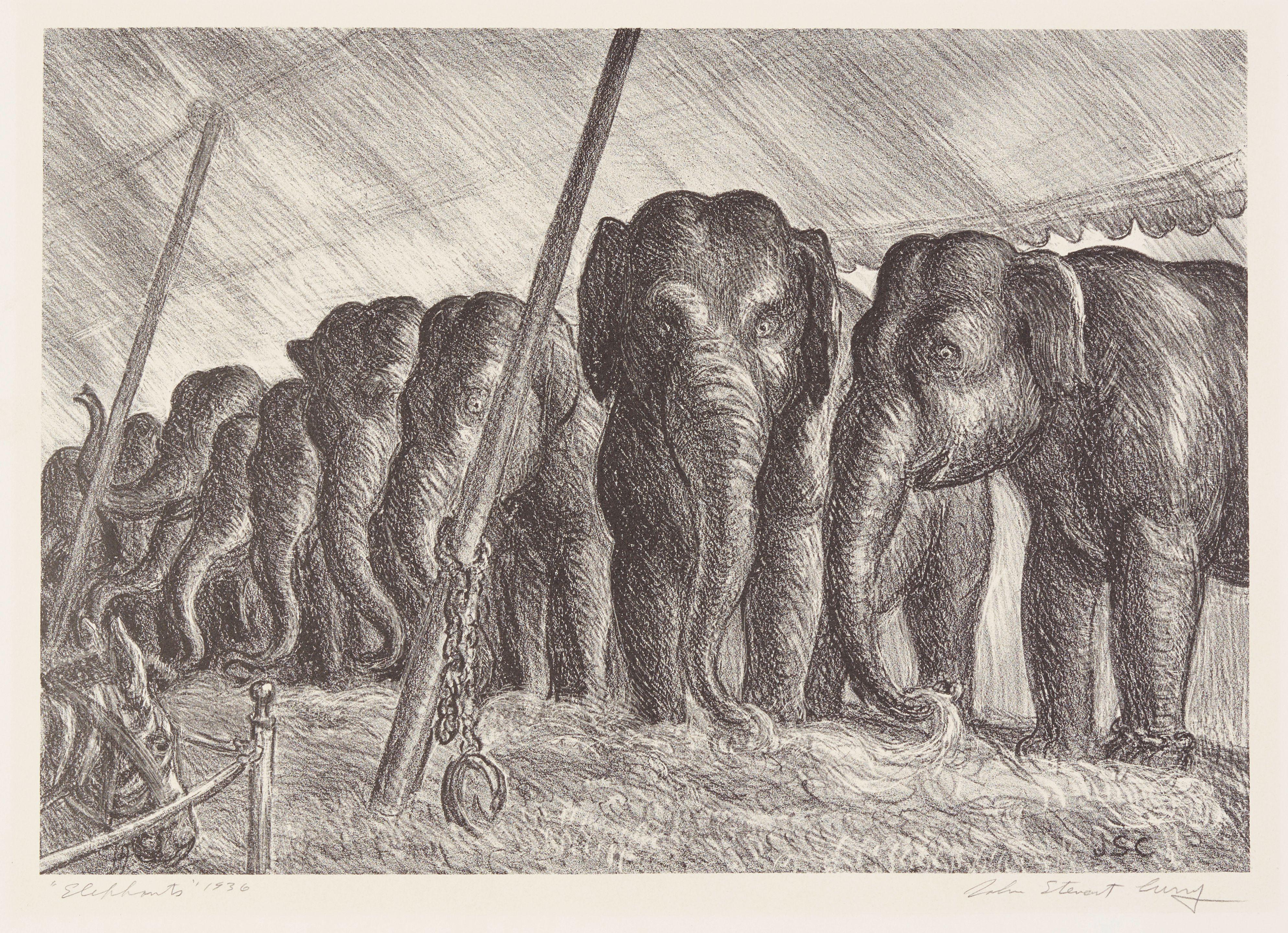 John Steuart Curry - Circus Elephants