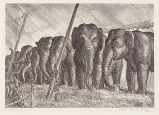 John Steuart Curry - Circus Elephants