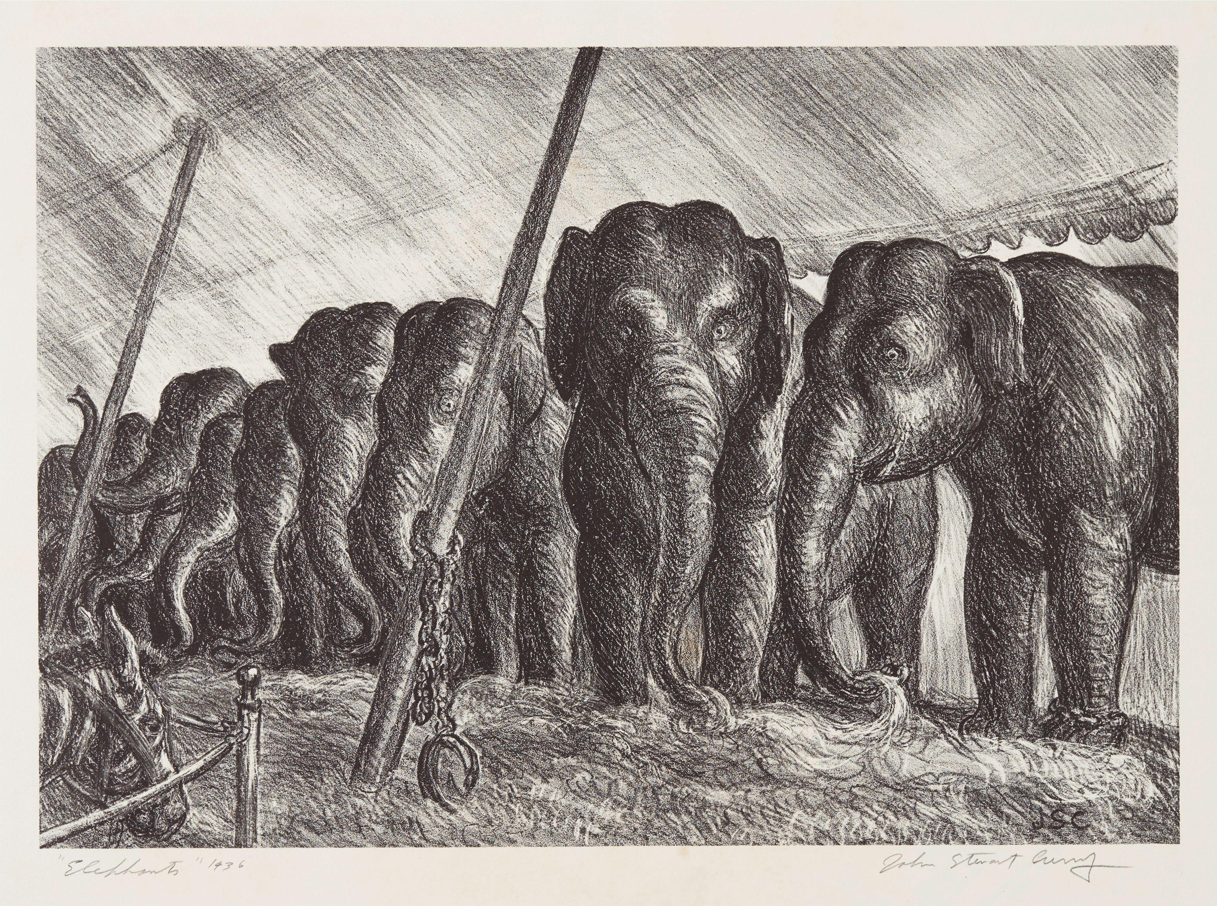John Steuart Curry - Elephants