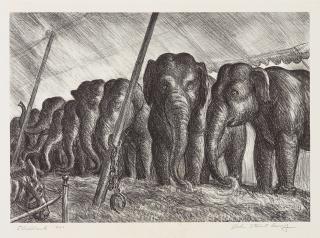 John Steuart Curry - Elephants
