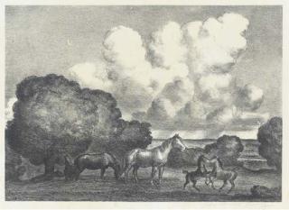 John Steuart Curry - Summer Afternoon (Cole 35)