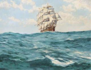 John Stewart - The American Clipper Red Jacket in the Southern Ocean