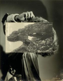 John Stezaker - Mask XX (\'Bird Mask\')