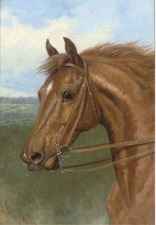 John Sturgess - A Lady\'S Hack