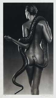 John Swannell - Nude With Snakes, 2009
