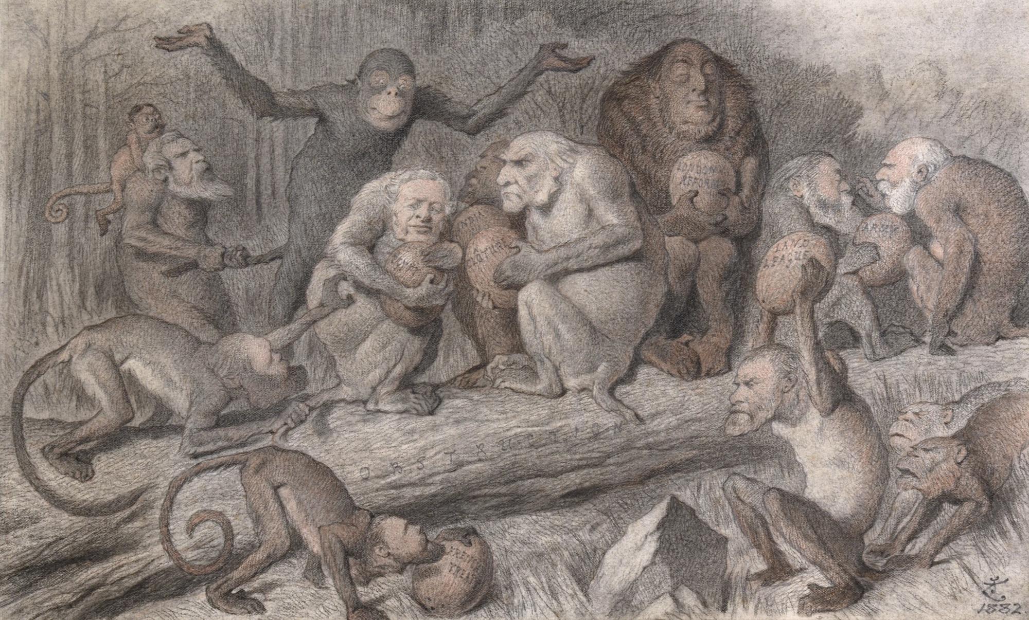 John Tenniel - ‘Nuts To Crack’