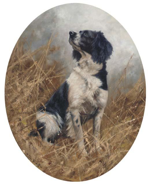 John Trickett - A Black And White Springer Spaniel