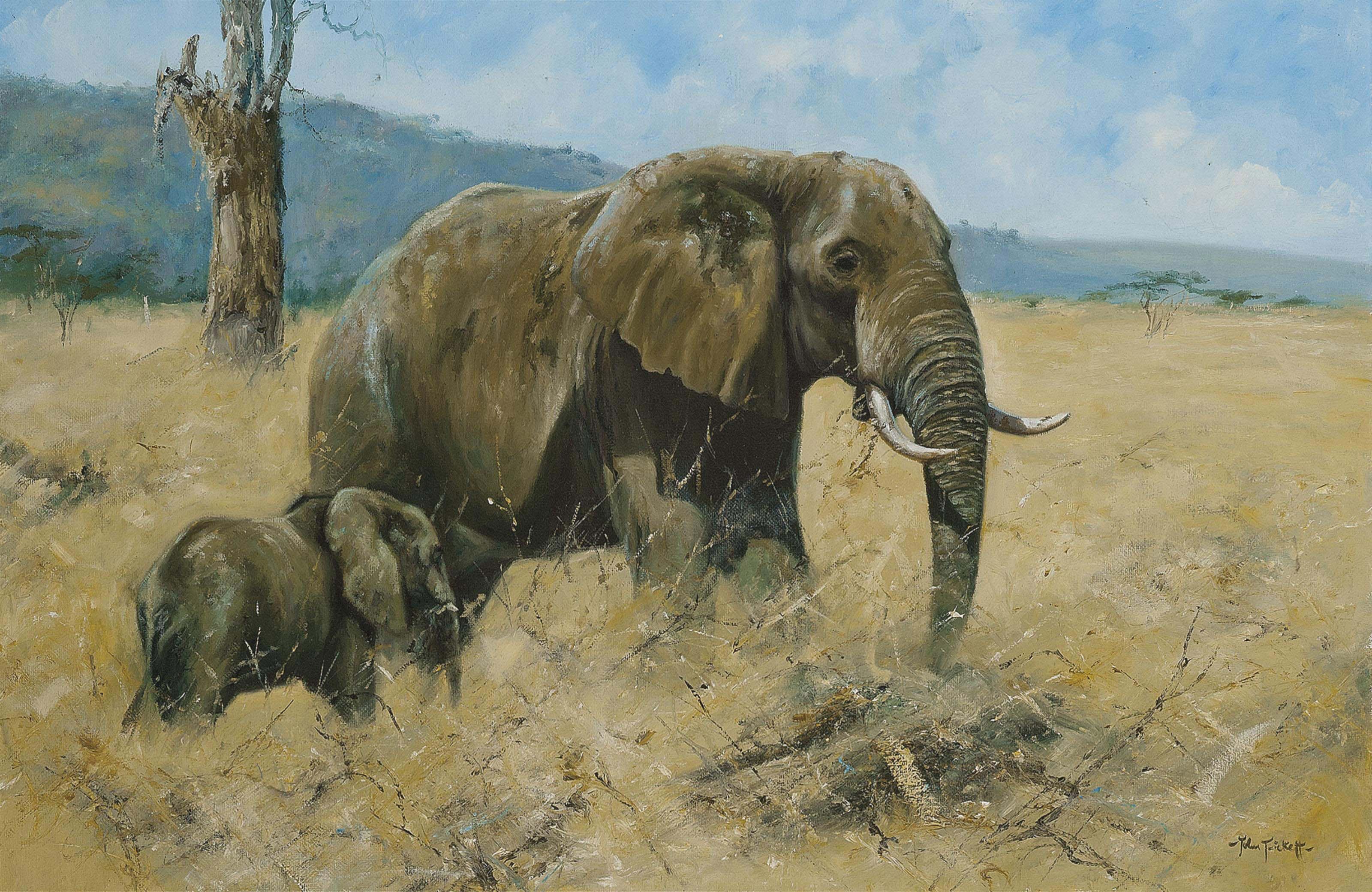 John Trickett - A mother elephant and her calf