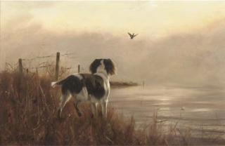 John Trickett - A spaniel, evening light