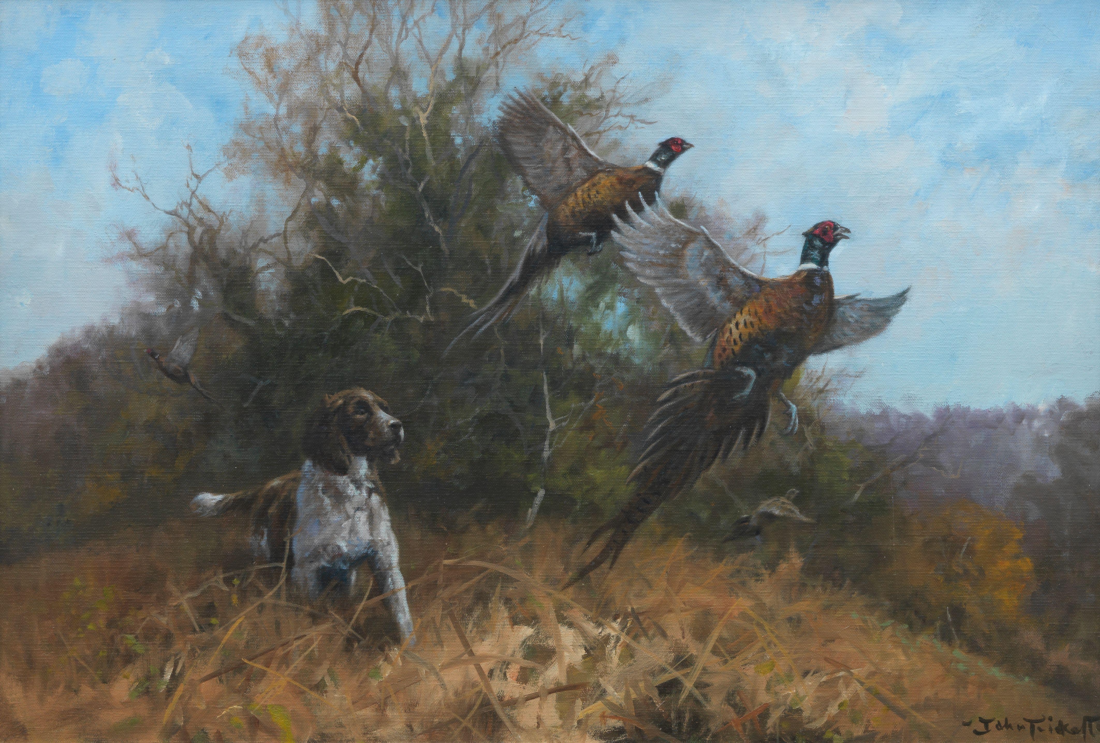 John Trickett - A Springer Spaniel flushing pheasants