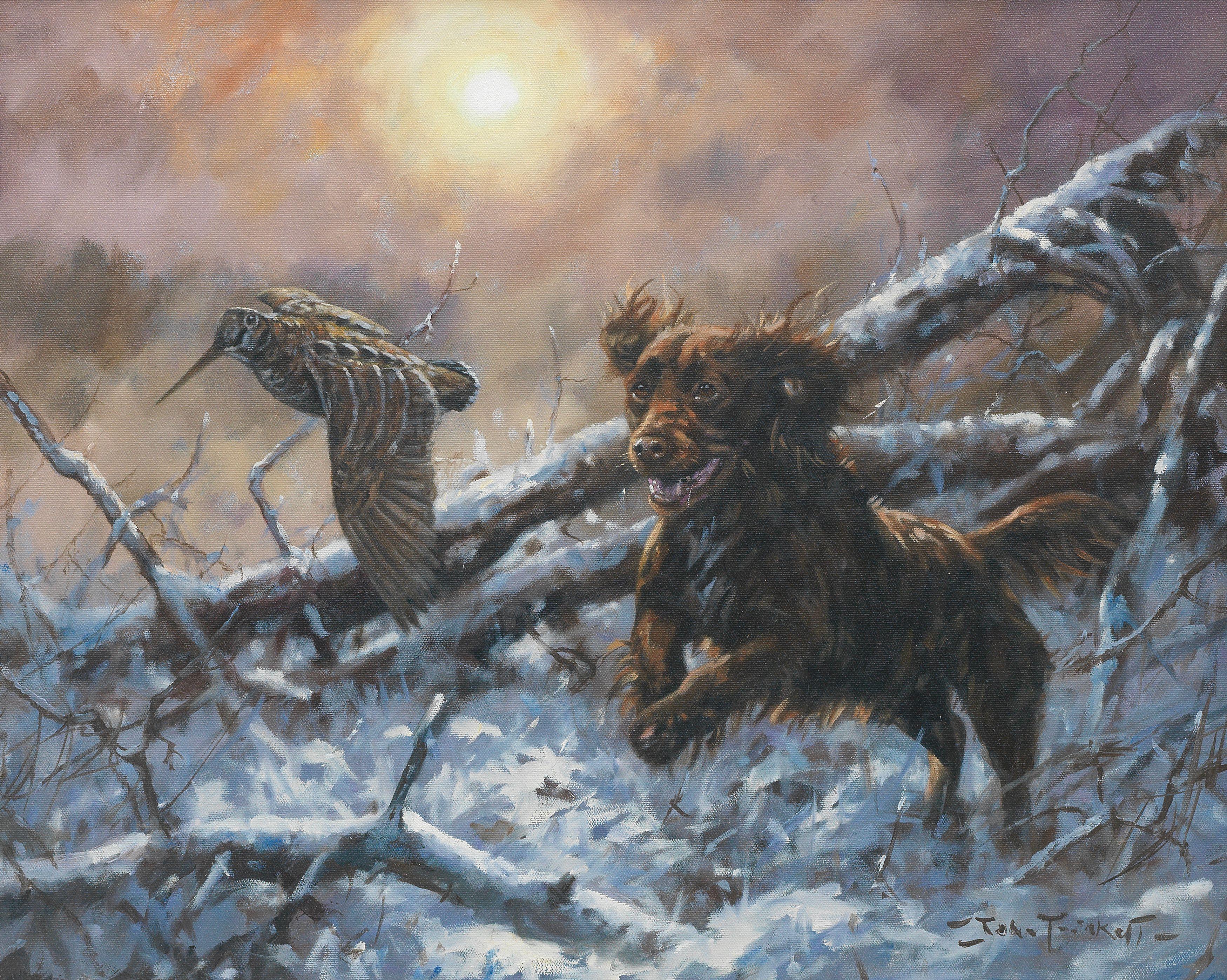 John Trickett - Cocker Spaniel Flushing Woodcock